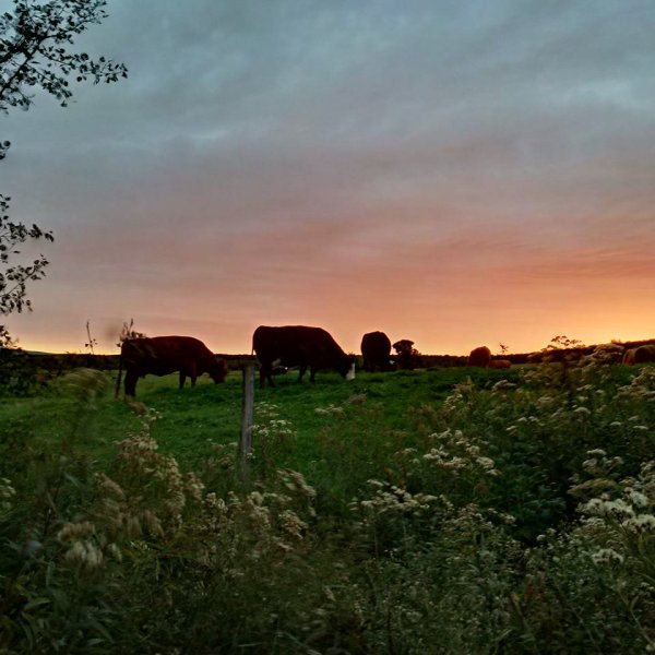 coucher de soleil